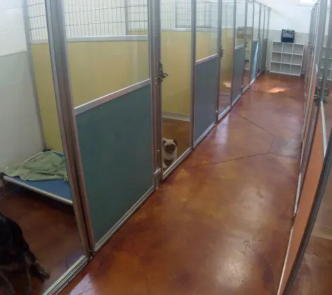 Animal Hospital of Orange Grove Kennels